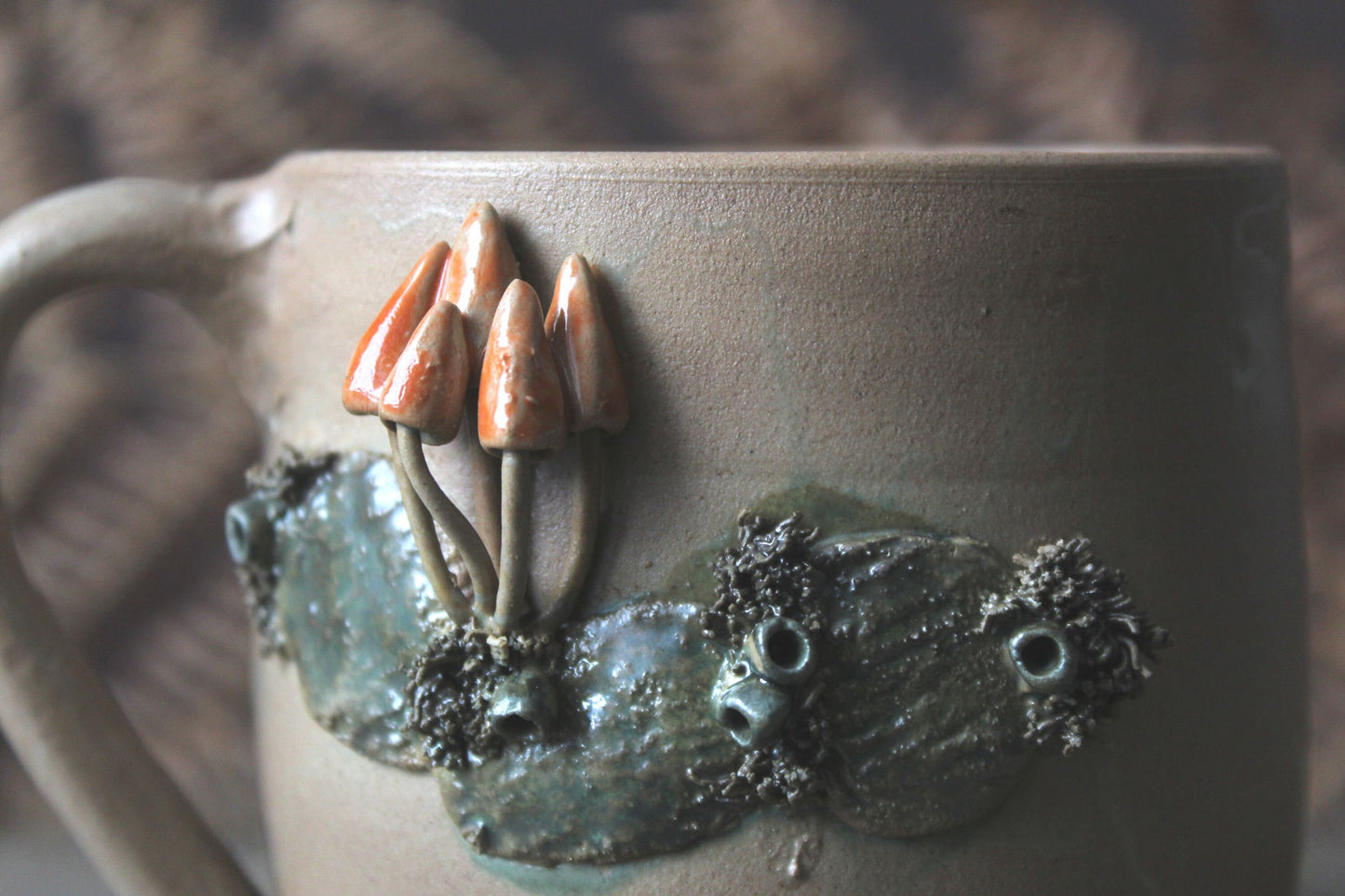 Selvatica | Tazza Hygrocybe conica Bosco