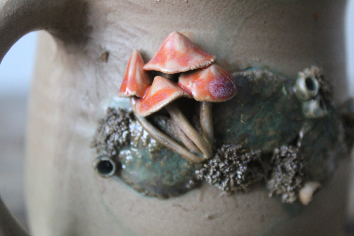 Selvatica | Tazza Desarmillaria tabescens Rubra Bosco