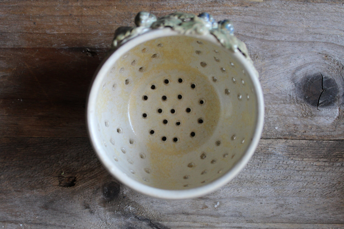 Selvatica | Berry Bowl Mirtillo Grande