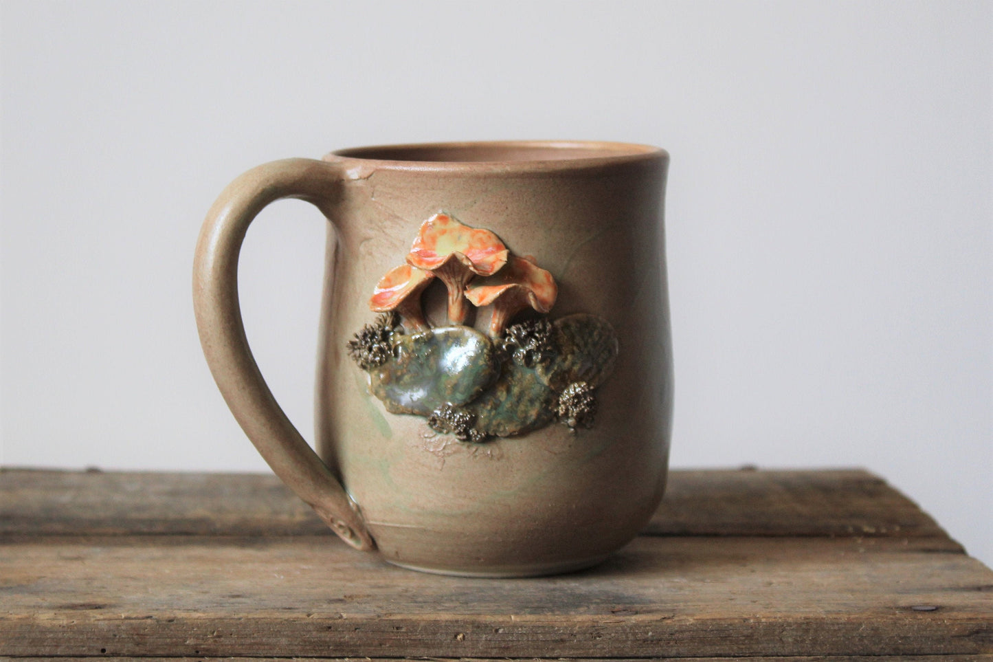 Selvatica | Tazza Cantharellus cibarius Bosco